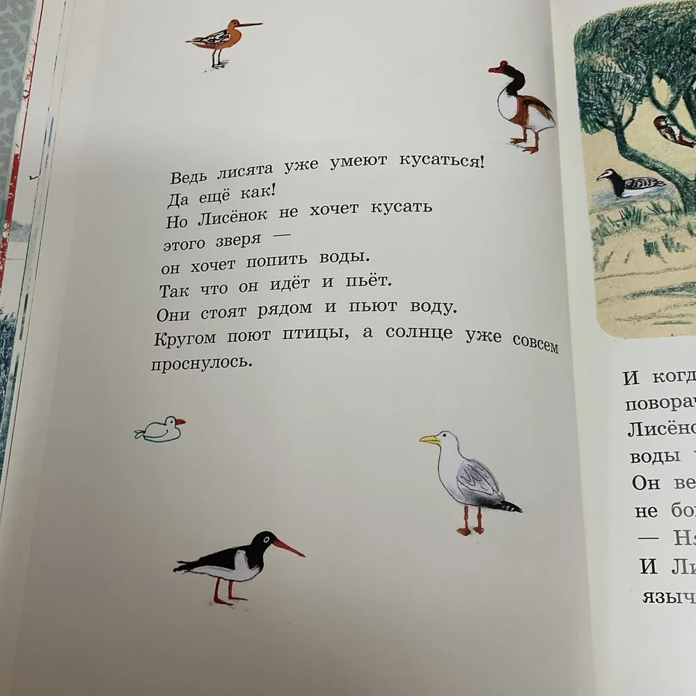 Русские Детские Книги /‎ Russian Books For Kids Лисёнок Эдвард Ван Де Вендел